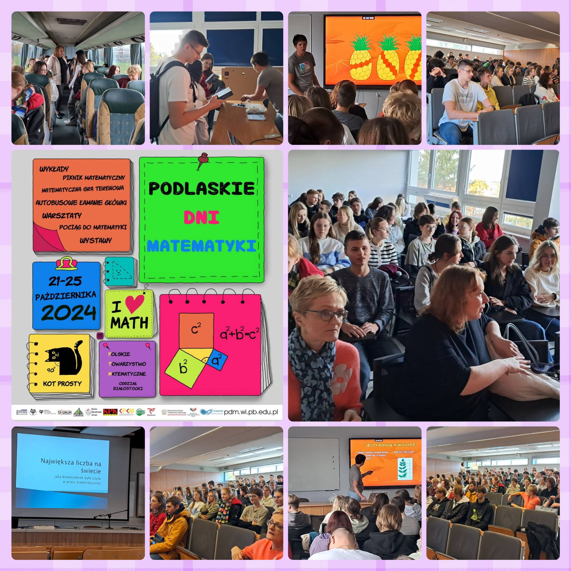 dni matematyki
